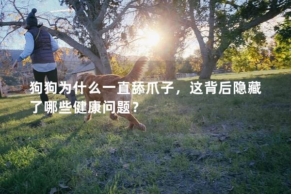 狗狗為什么一直舔爪子，這背后隱藏了哪些健康問題？