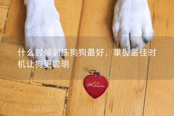 什么時(shí)候訓(xùn)練狗狗最好，掌握最佳時(shí)機(jī)讓狗更聰明