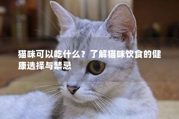 貓咪可以吃什么？了解貓咪飲食的健康選擇與禁忌