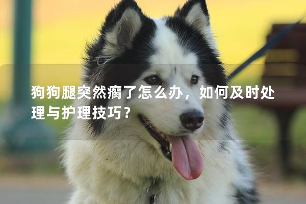 狗狗腿突然瘸了怎么辦，如何及時處理與護理技巧？