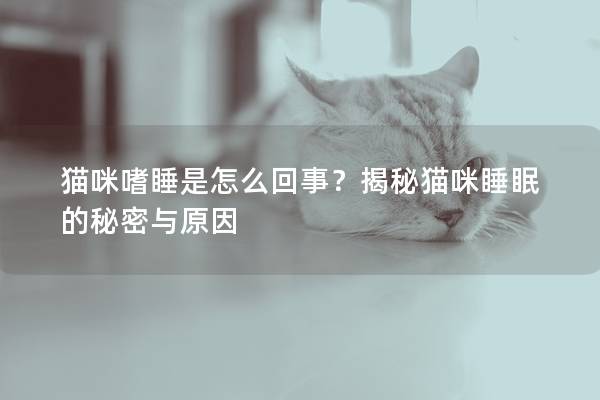 貓咪嗜睡是怎么回事？揭秘貓咪睡眠的秘密與原因