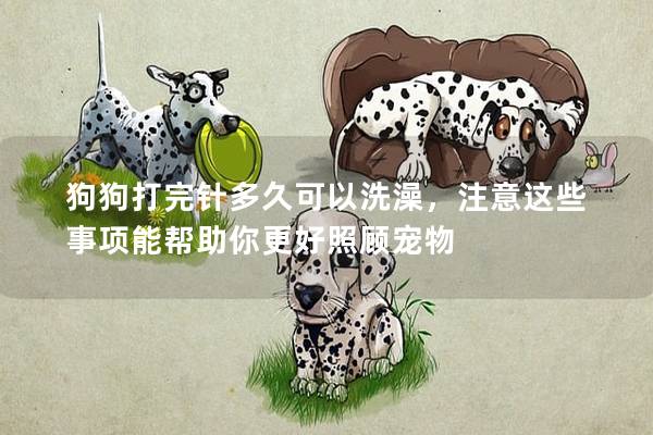 狗狗打完針多久可以洗澡，注意這些事項(xiàng)能幫助你更好照顧寵物