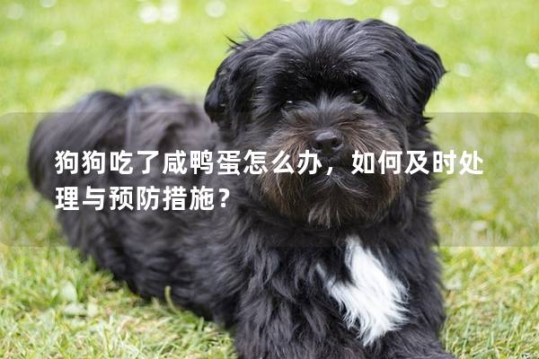 狗狗吃了咸鴨蛋怎么辦，如何及時處理與預(yù)防措施？