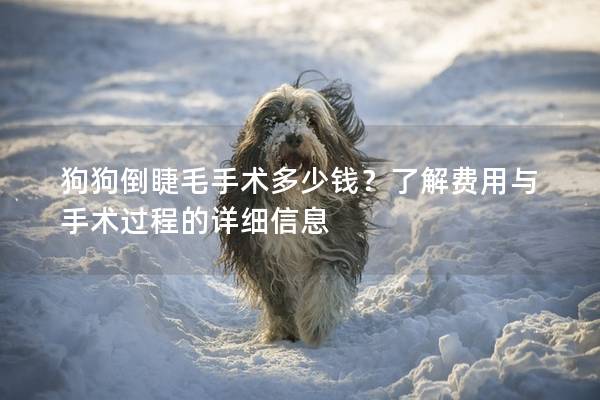 狗狗倒睫毛手術(shù)多少錢？了解費(fèi)用與手術(shù)過程的詳細(xì)信息