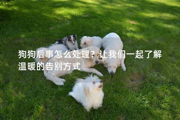 狗狗后事怎么處理？讓我們一起了解溫暖的告別方式