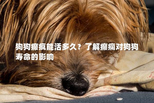 狗狗癲瘋能活多久？了解癲癇對(duì)狗狗壽命的影響