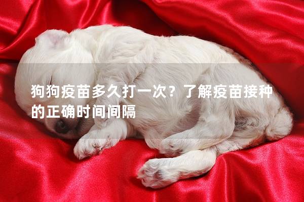 狗狗疫苗多久打一次？了解疫苗接種的正確時間間隔