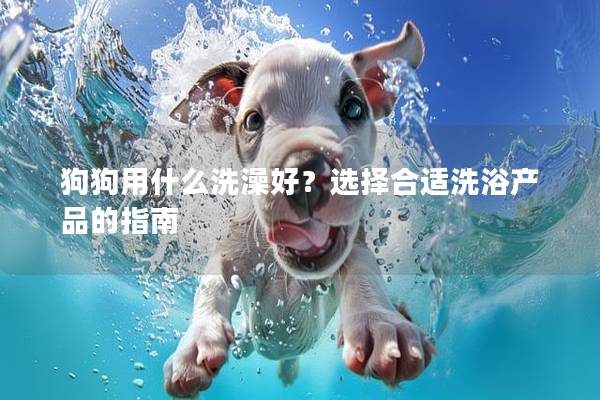 狗狗用什么洗澡好？選擇合適洗浴產(chǎn)品的指南
