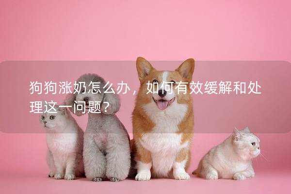 狗狗漲奶怎么辦，如何有效緩解和處理這一問題？