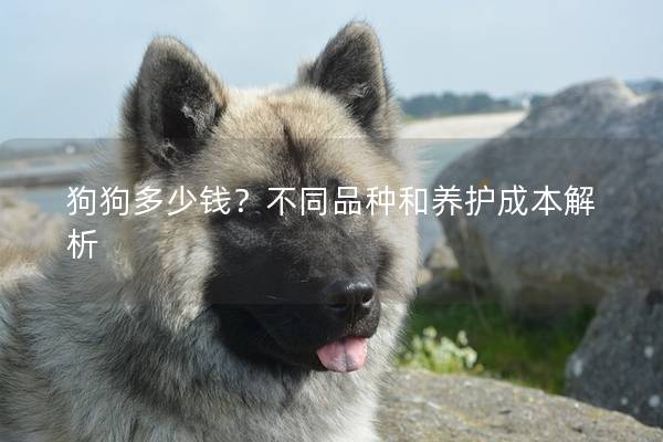狗狗多少錢？不同品種和養(yǎng)護(hù)成本解析