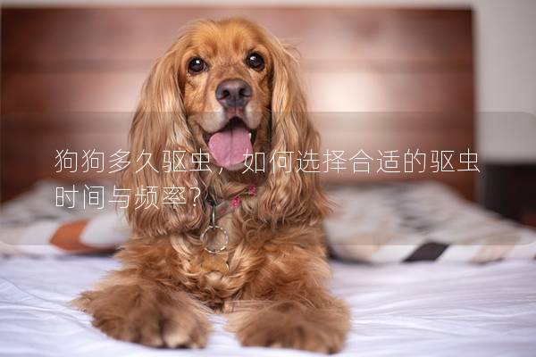 狗狗多久驅(qū)蟲，如何選擇合適的驅(qū)蟲時間與頻率？