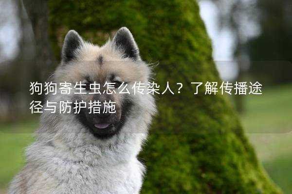 狗狗寄生蟲怎么傳染人？了解傳播途徑與防護措施