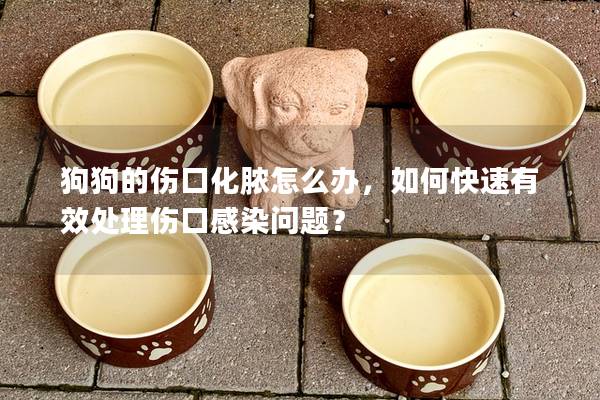 狗狗的傷口化膿怎么辦，如何快速有效處理傷口感染問題？