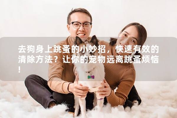 去狗身上跳蚤的小妙招，快速有效的清除方法？讓你的寵物遠離跳蚤煩惱!