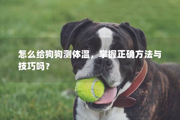 怎么給狗狗測體溫，掌握正確方法與技巧嗎？