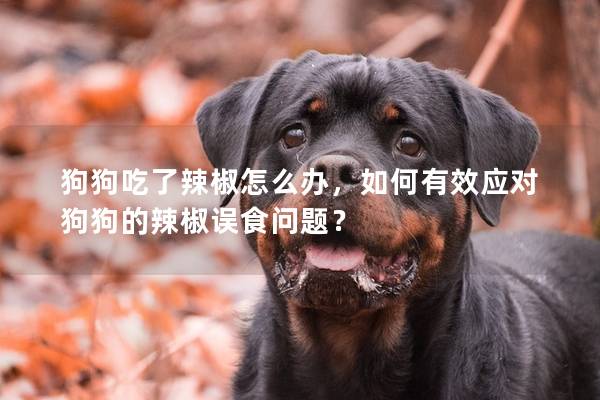 狗狗吃了辣椒怎么辦，如何有效應對狗狗的辣椒誤食問題？
