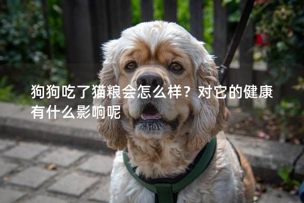狗狗吃了貓糧會怎么樣？對它的健康有什么影響呢