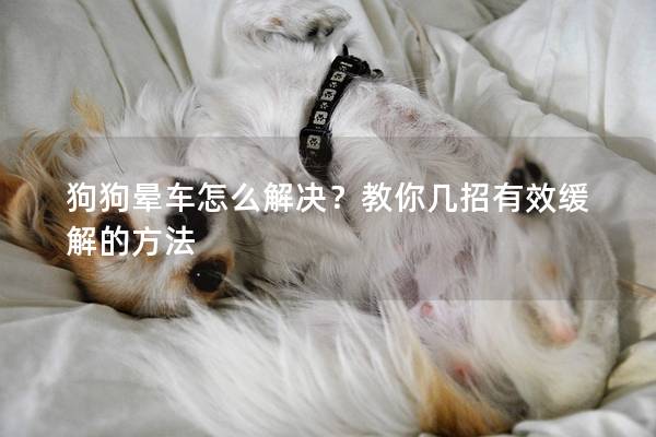 狗狗暈車怎么解決？教你幾招有效緩解的方法