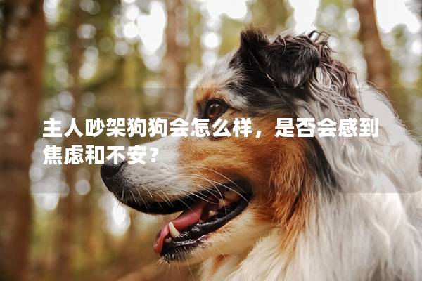 主人吵架狗狗會怎么樣，是否會感到焦慮和不安？
