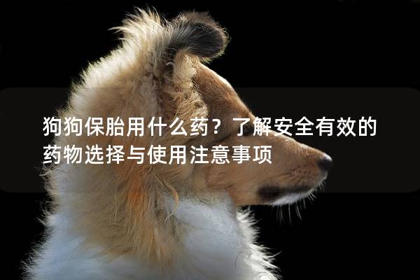 狗狗保胎用什么藥？了解安全有效的藥物選擇與使用注意事項