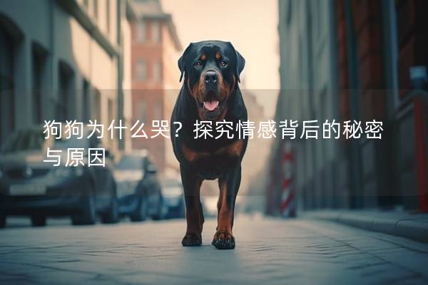 狗狗為什么哭？探究情感背后的秘密與原因