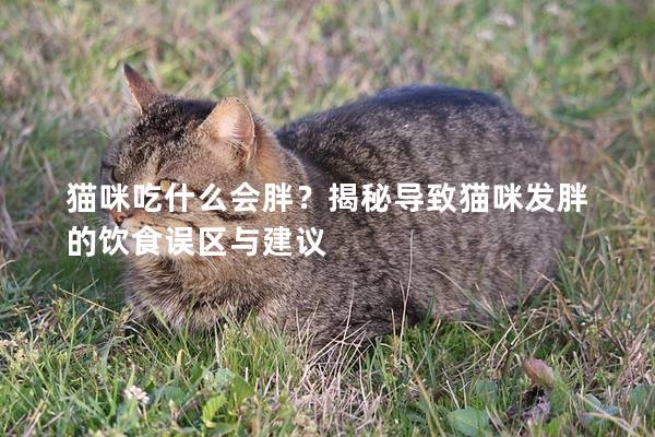 貓咪吃什么會胖？揭秘導致貓咪發胖的飲食誤區與建議