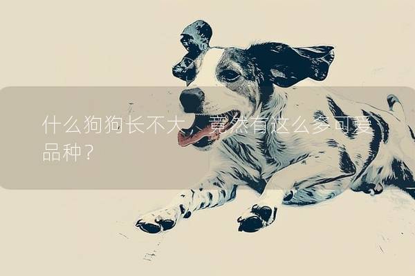 什么狗狗長不大,竟然有這么多可愛品種? 什么狗狗長不大,竟然有這么多可愛品種?