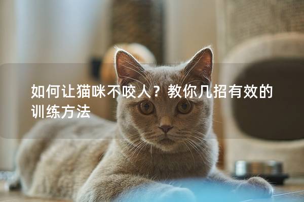 如何讓貓咪不咬人？教你幾招有效的訓練方法