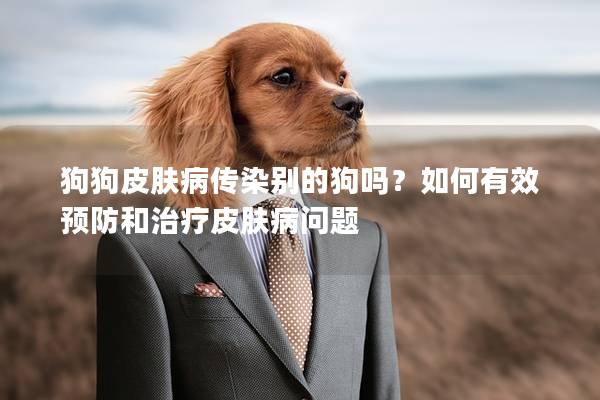 狗狗皮膚病傳染別的狗嗎？如何有效預防和治療皮膚病問題