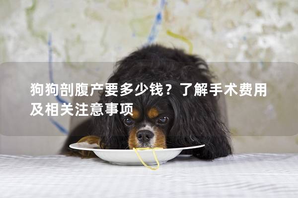 狗狗剖腹產(chǎn)要多少錢？了解手術(shù)費(fèi)用及相關(guān)注意事項(xiàng)