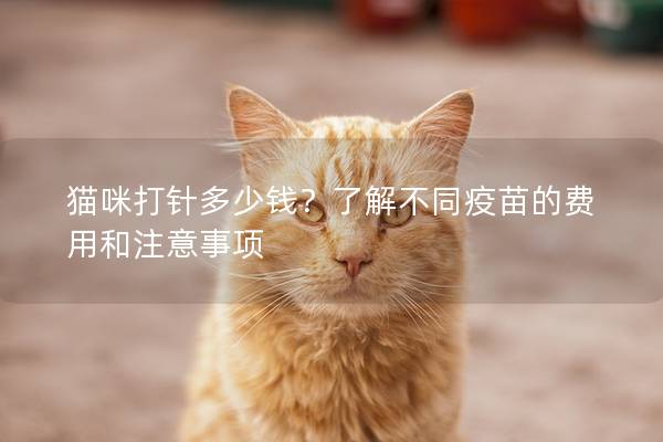 貓咪打針多少錢？了解不同疫苗的費(fèi)用和注意事項(xiàng)