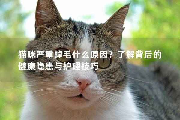 貓咪嚴(yán)重掉毛什么原因？了解背后的健康隱患與護理技巧