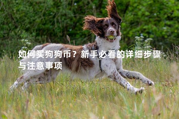 如何買狗狗幣？新手必看的詳細步驟與注意事項