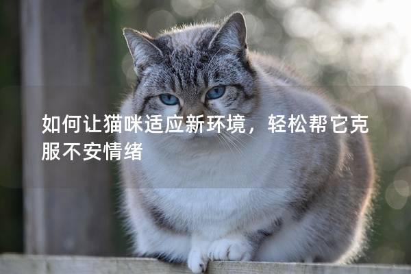 如何讓貓咪適應(yīng)新環(huán)境，輕松幫它克服不安情緒