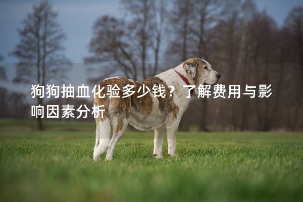 狗狗抽血化驗多少錢？了解費用與影響因素分析