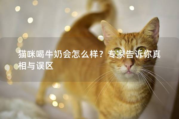 貓咪喝牛奶會怎么樣？專家告訴你真相與誤區(qū)