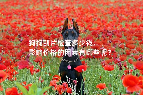 狗狗刮片檢查多少錢, 影響價格的因素有哪些呢？