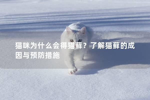 貓咪為什么會(huì)得貓?zhí)\？了解貓?zhí)\的成因與預(yù)防措施