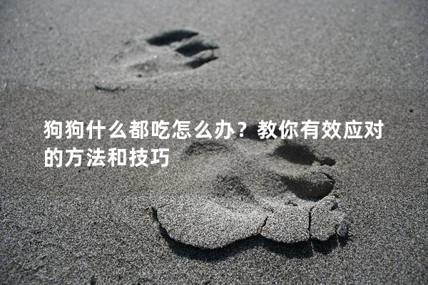 狗狗什么都吃怎么辦？教你有效應(yīng)對的方法和技巧