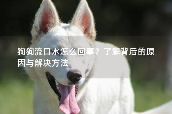 狗狗流口水怎么回事？了解背后的原因與解決方法