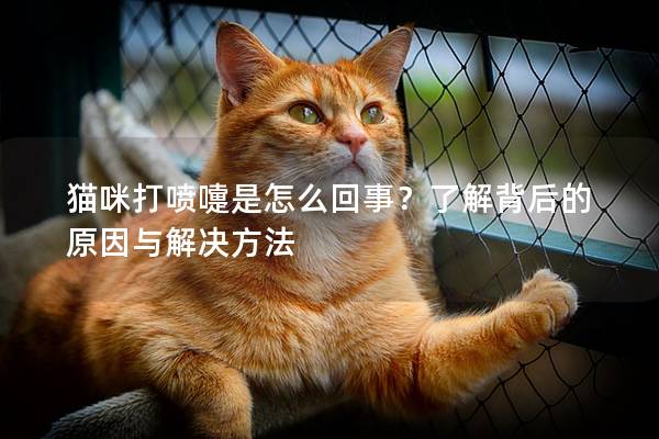 貓咪打噴嚏是怎么回事？了解背后的原因與解決方法