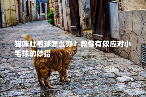 貓咪吐毛球怎么辦？教你有效應對小毛球的妙招