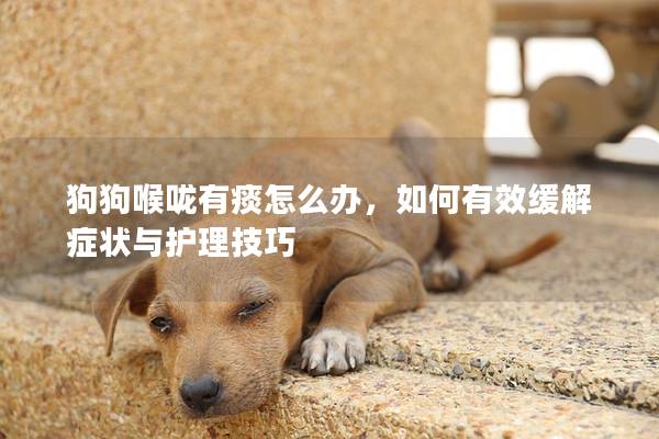狗狗喉嚨有痰怎么辦，如何有效緩解癥狀與護理技巧