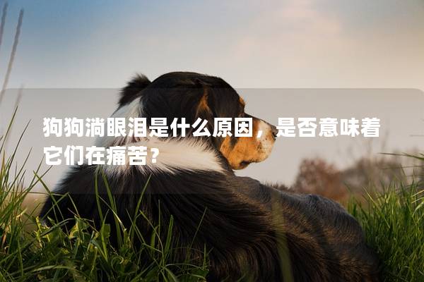 狗狗淌眼淚是什么原因，是否意味著它們在痛苦？