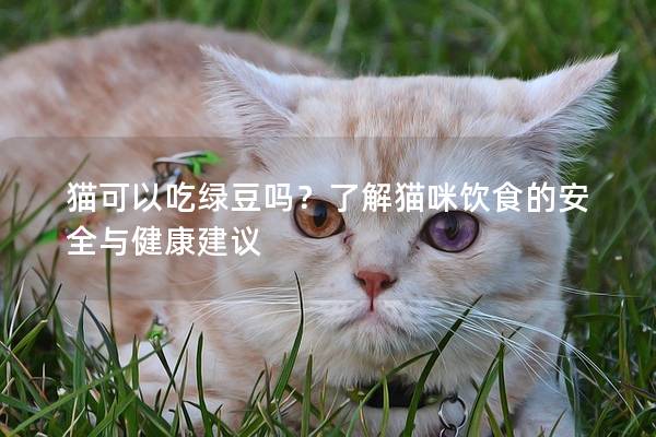 貓可以吃綠豆嗎？了解貓咪飲食的安全與健康建議