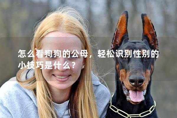 怎么看狗狗的公母,輕松識(shí)別性別的小技巧是什么? 怎么看狗狗的公母,輕松識(shí)別性別的小技巧是什么?