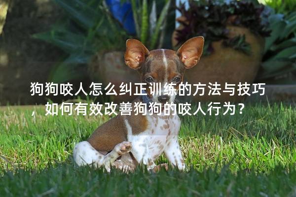 狗狗咬人怎么糾正訓練的方法與技巧，如何有效改善狗狗的咬人行為？