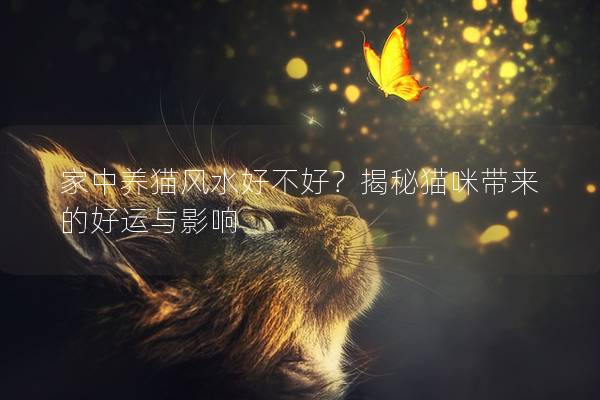 家中養(yǎng)貓風(fēng)水好不好？揭秘貓咪帶來(lái)的好運(yùn)與影響