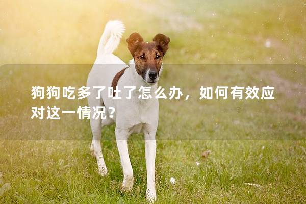 狗狗吃多了吐了怎么辦，如何有效應(yīng)對(duì)這一情況？