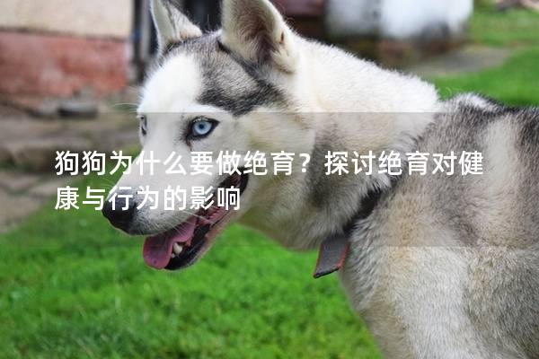 狗狗為什么要做絕育？探討絕育對健康與行為的影響